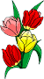 Flowers_1