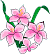 Flowers_3