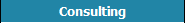 Consulting
