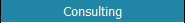 Consulting